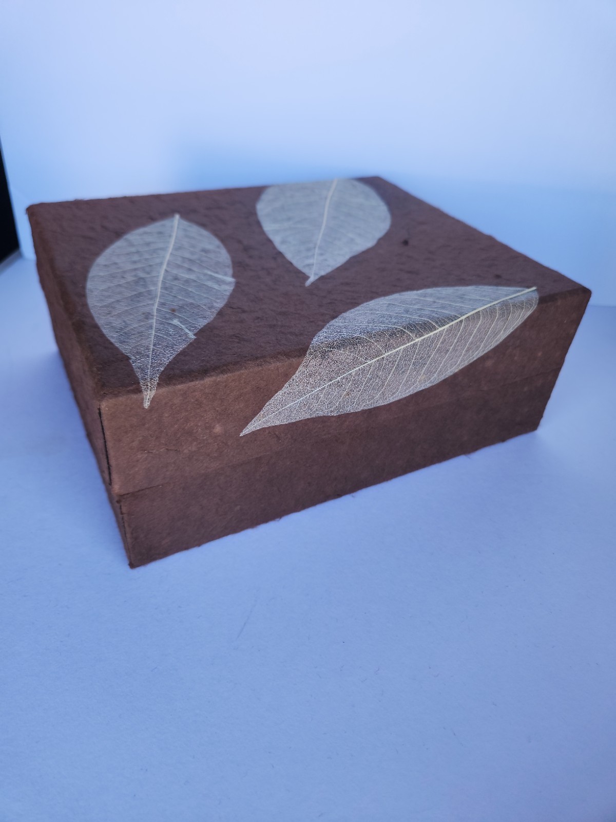 Eco Friendly Biodegradable Urn Up To 340lbs Pre-cremation NEW NEVER USED