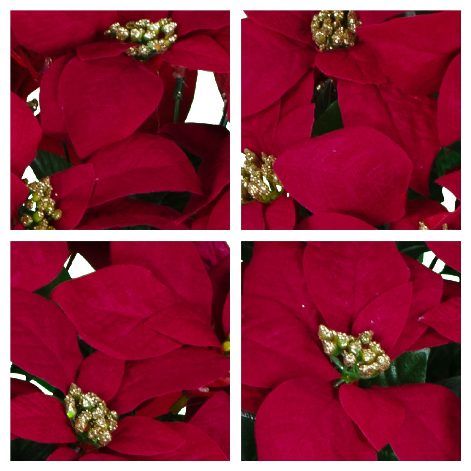 Artificial Cemetery Flowers – Red Poinsettias with Gold Glitter and Vase
