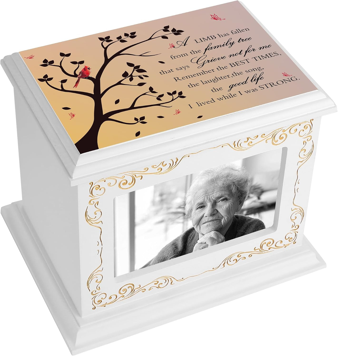 Cremation Urns for Human Ashes Adult Male or Female, Funeral Memorial Urns for A