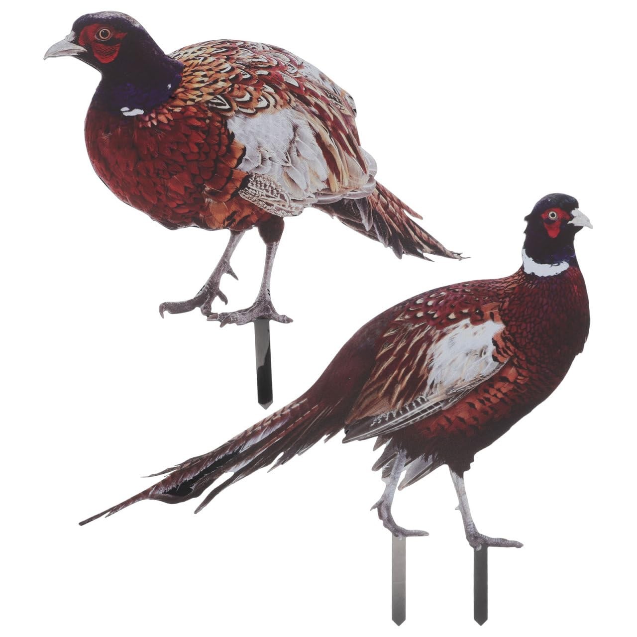 2pcs Lifelike Pheasant Garden Stakes Realistic Chicken Decor for Outdoor Lawn…