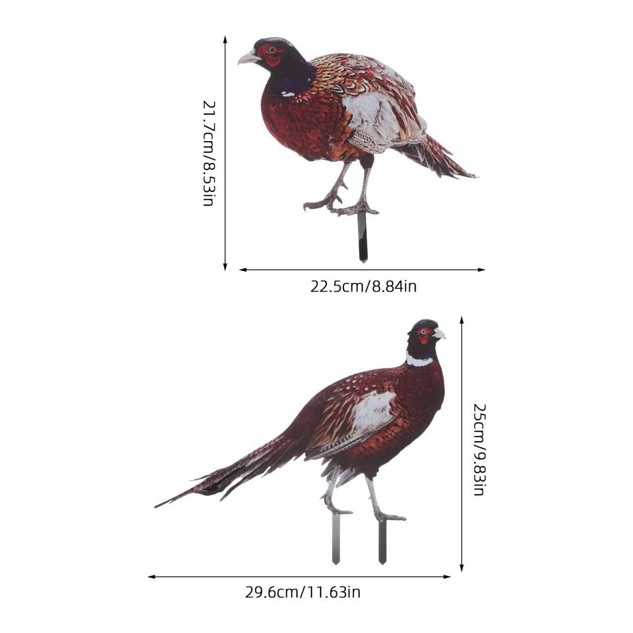 2pcs Lifelike Pheasant Garden Stakes Realistic Chicken Decor for Outdoor Lawn…