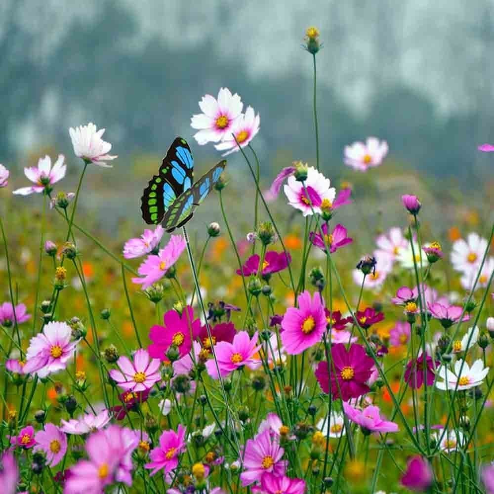 100pcs Butterfly Garden Stakes for Planters, Yard Decor, Christmas Decorations
