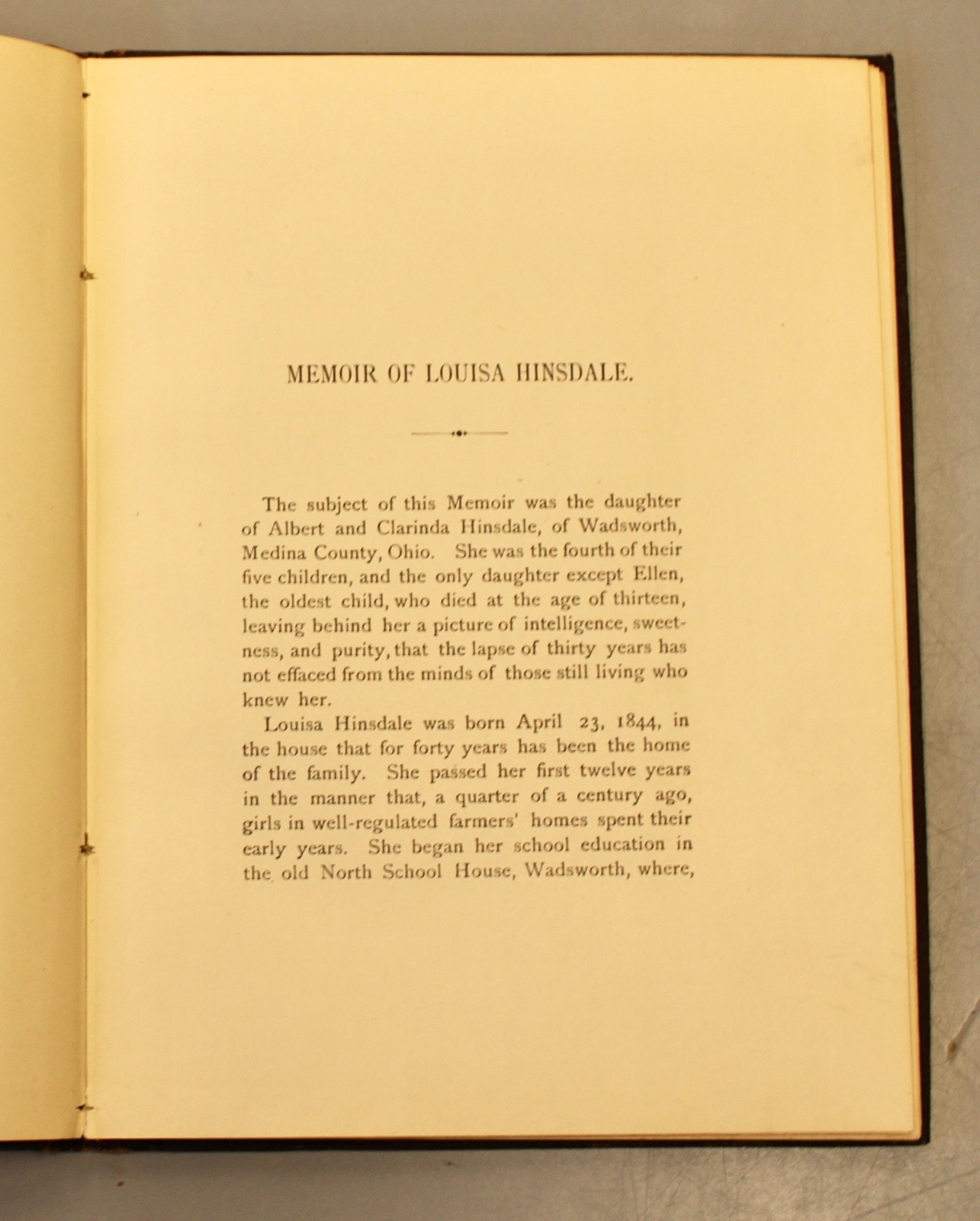 07/10 1877 Memorial Obituary Tribute Book for Louisa Hinsdale w/Photo Funeral