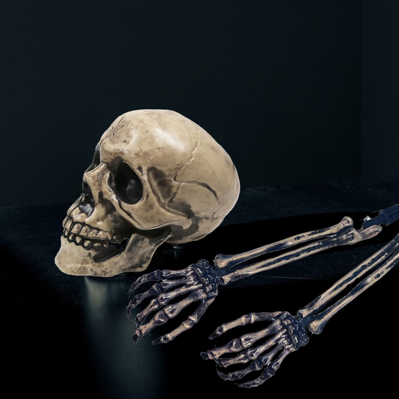 Sunnyglade Realistic Skeleton Stakes Halloween Decoration Scary Ground Breake…
