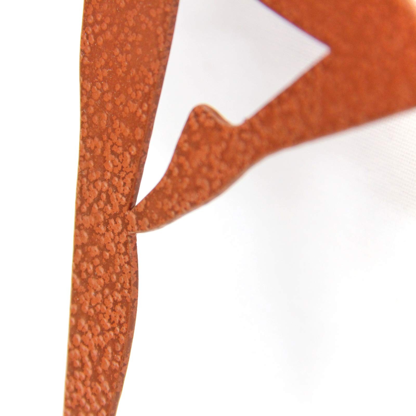 Ballerina Metal Garden Stake Powder-Coated Rust-Resistant Steel Plant Pick fo…