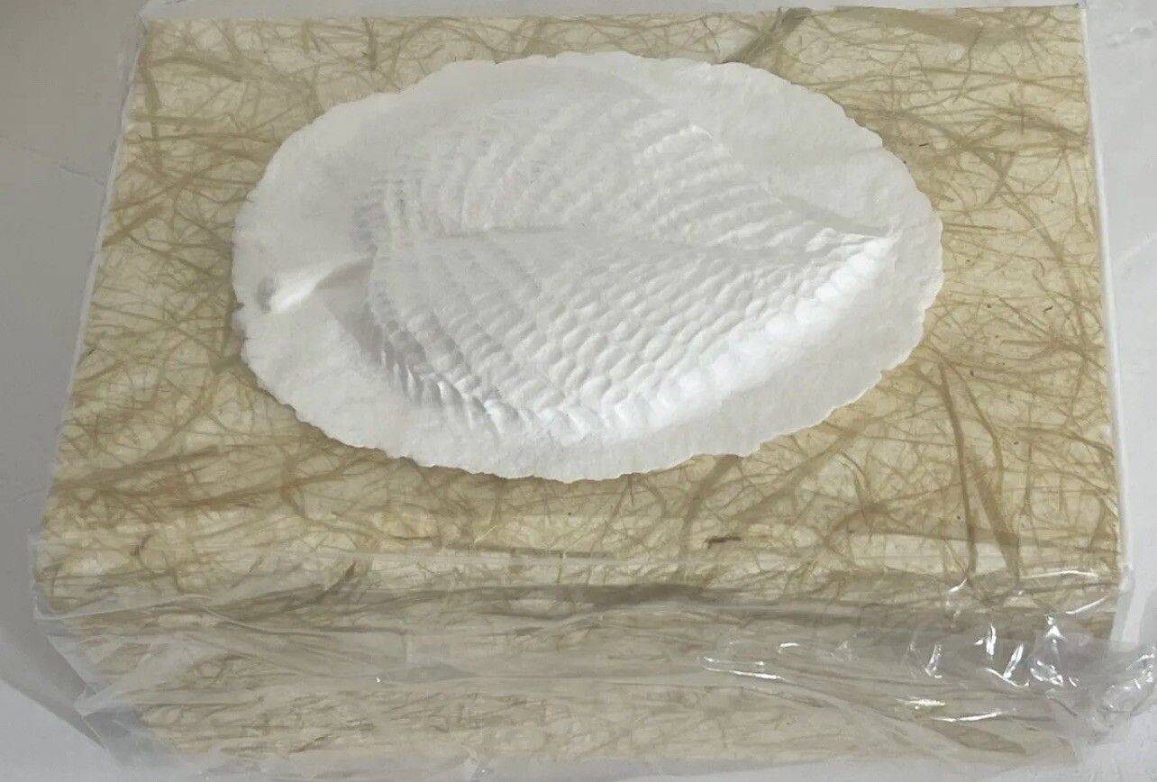 Natural Grass Biodegradable Burial Urn Large Leaf Box For Ashes EARTH MEMORIALS
