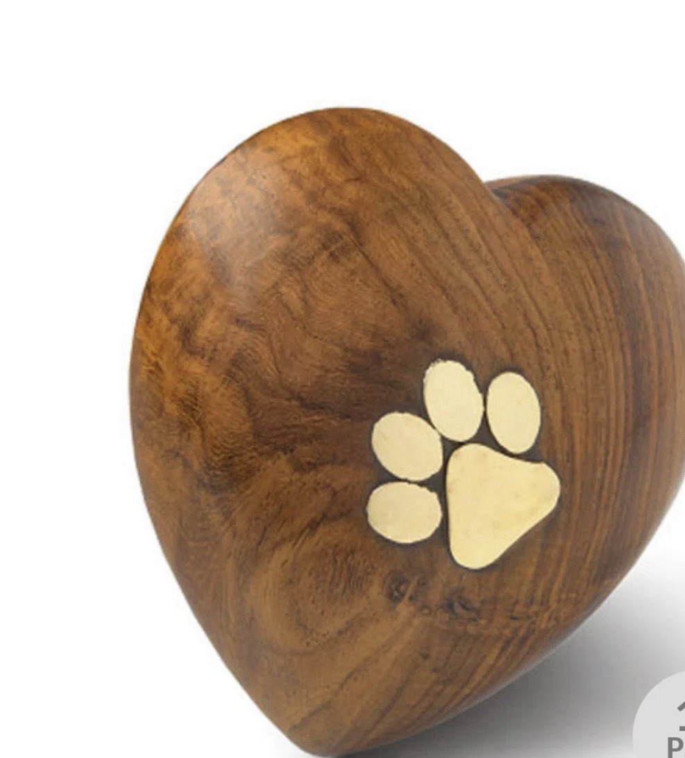 Keepsake Rosewood Heart Urn with Brass Paw print for CAT up to 5 LBS KITTEN