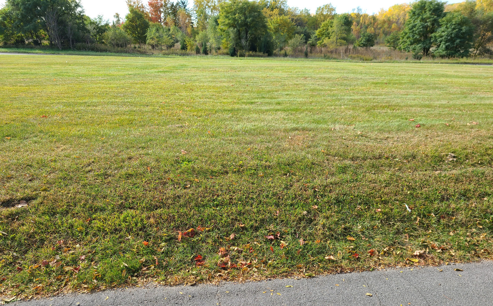 Chapel Memorial Gardens Lansing Michigan 2 Cemetery Plots
