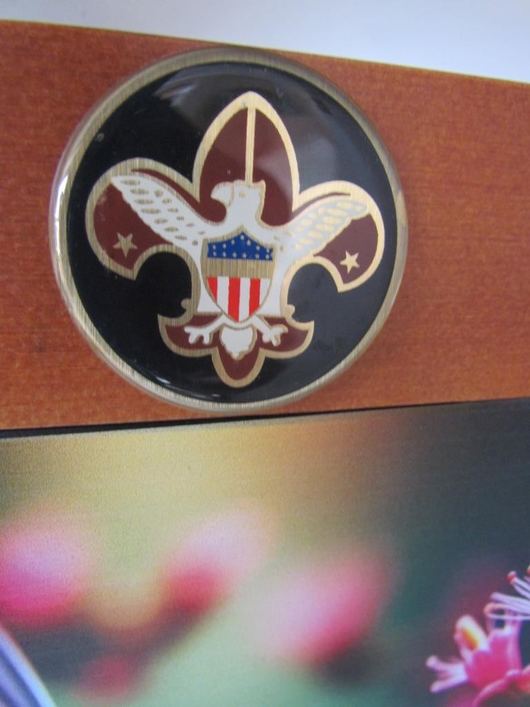 BOY SCOUTS Urn for Ashes Modern Wooden Adult Cube Black Brown