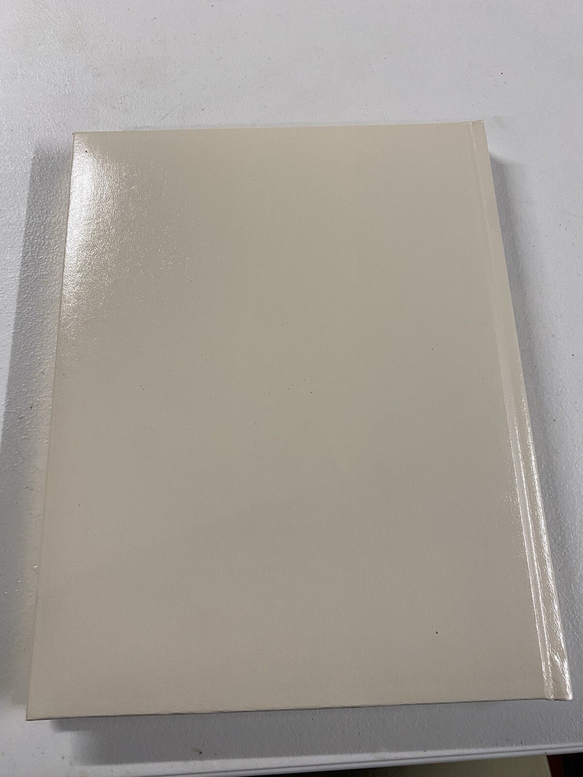 Beyond This Day The Way Of Hope Death Memorial Bereavement Death Book NEW CREAM