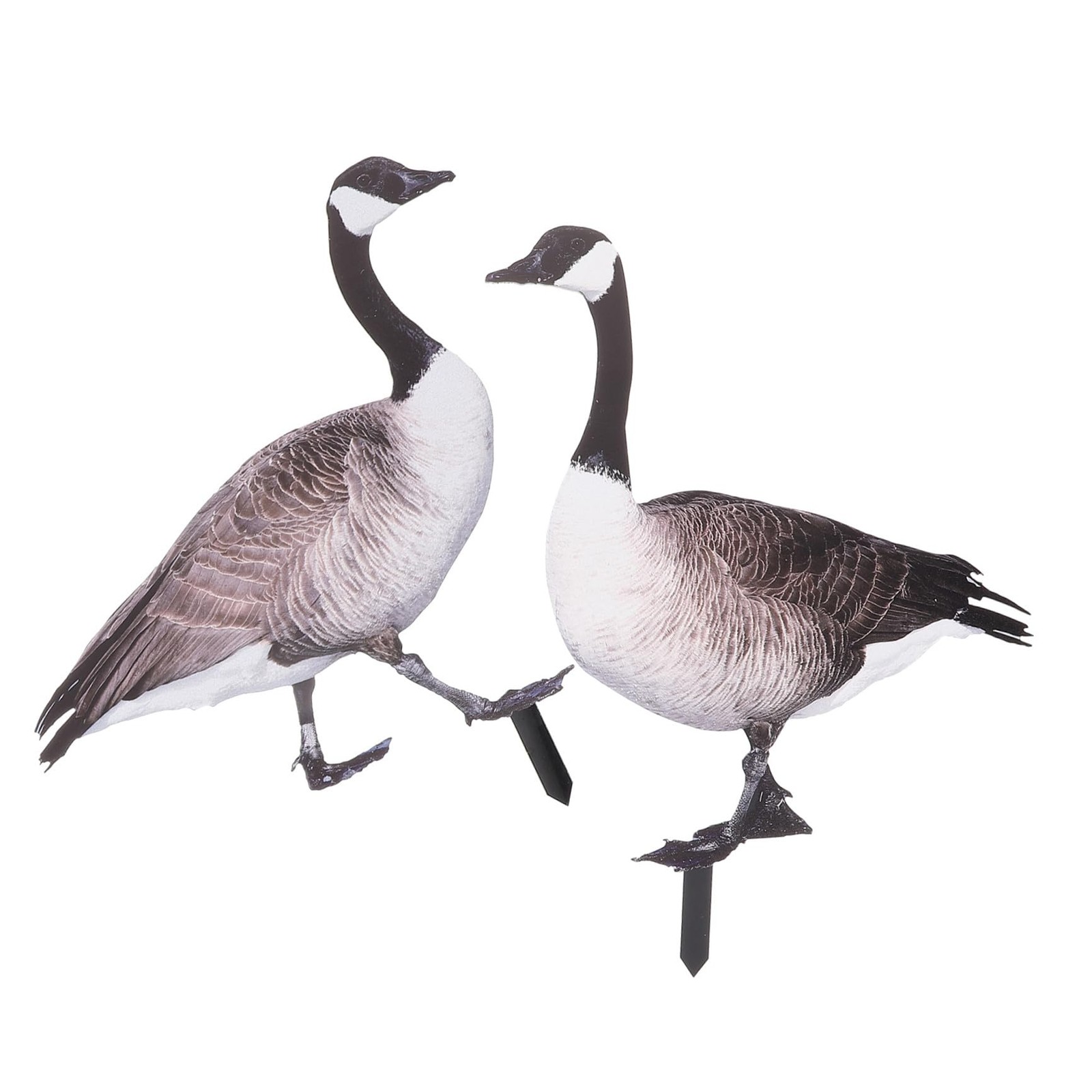 2pcs Chicken Yard Art Statue Animal Stake Sign Man Signage Acrylic Metal