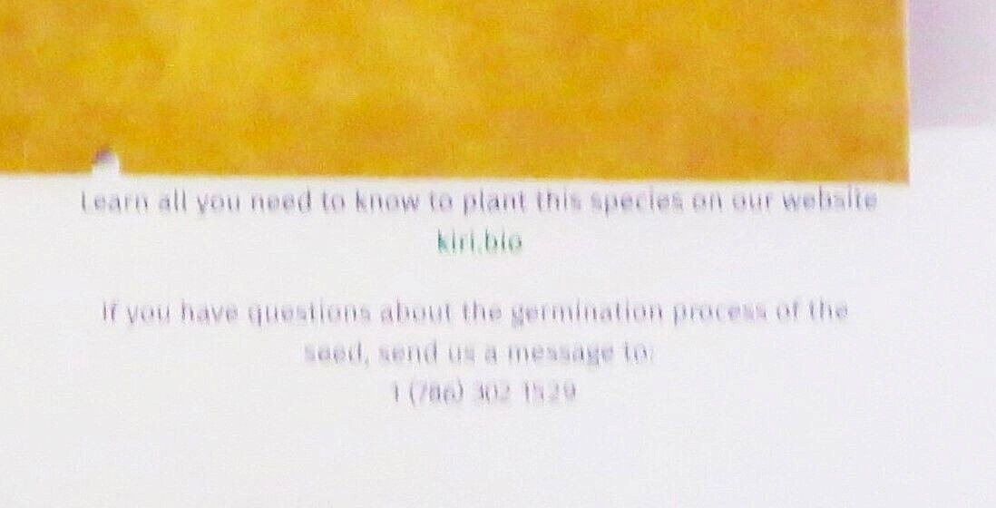 KIRI Biodegradable Tree Urn, Eco Burial Urn w/Crepe(Crape) Myrtle Tree Seeds NOB