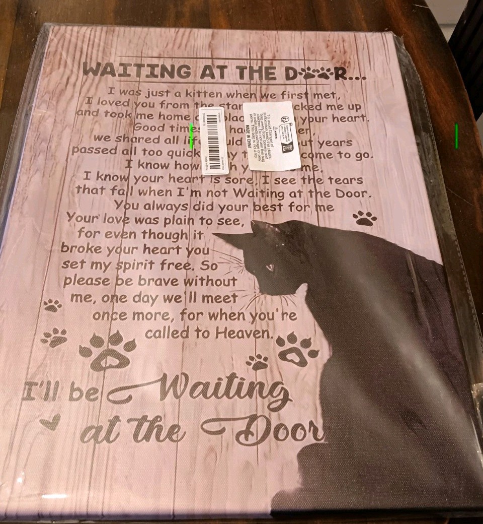 Tribute For A Beloved Cat