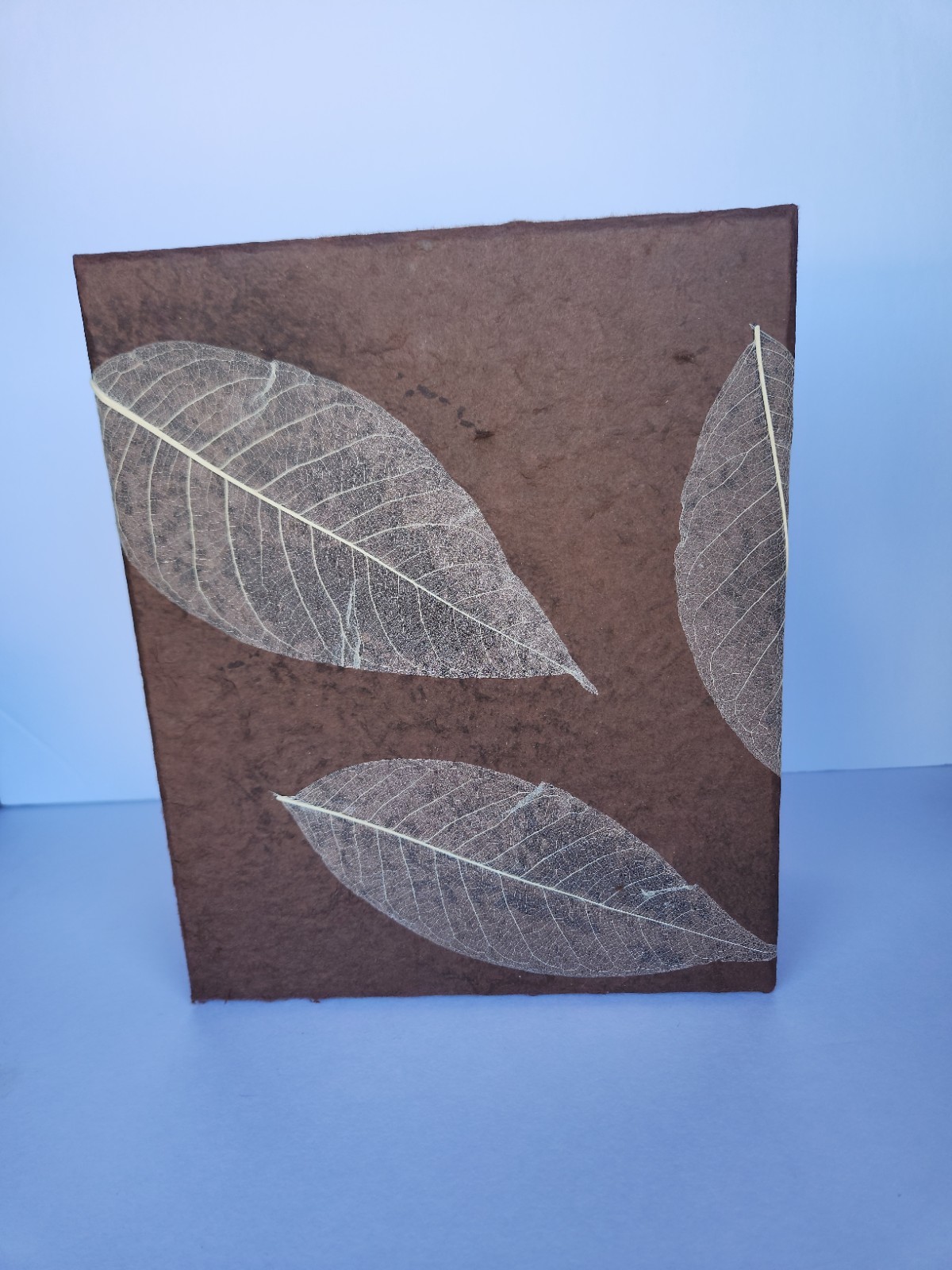 Eco Friendly Biodegradable Urn Up To 340lbs Pre-cremation NEW NEVER USED