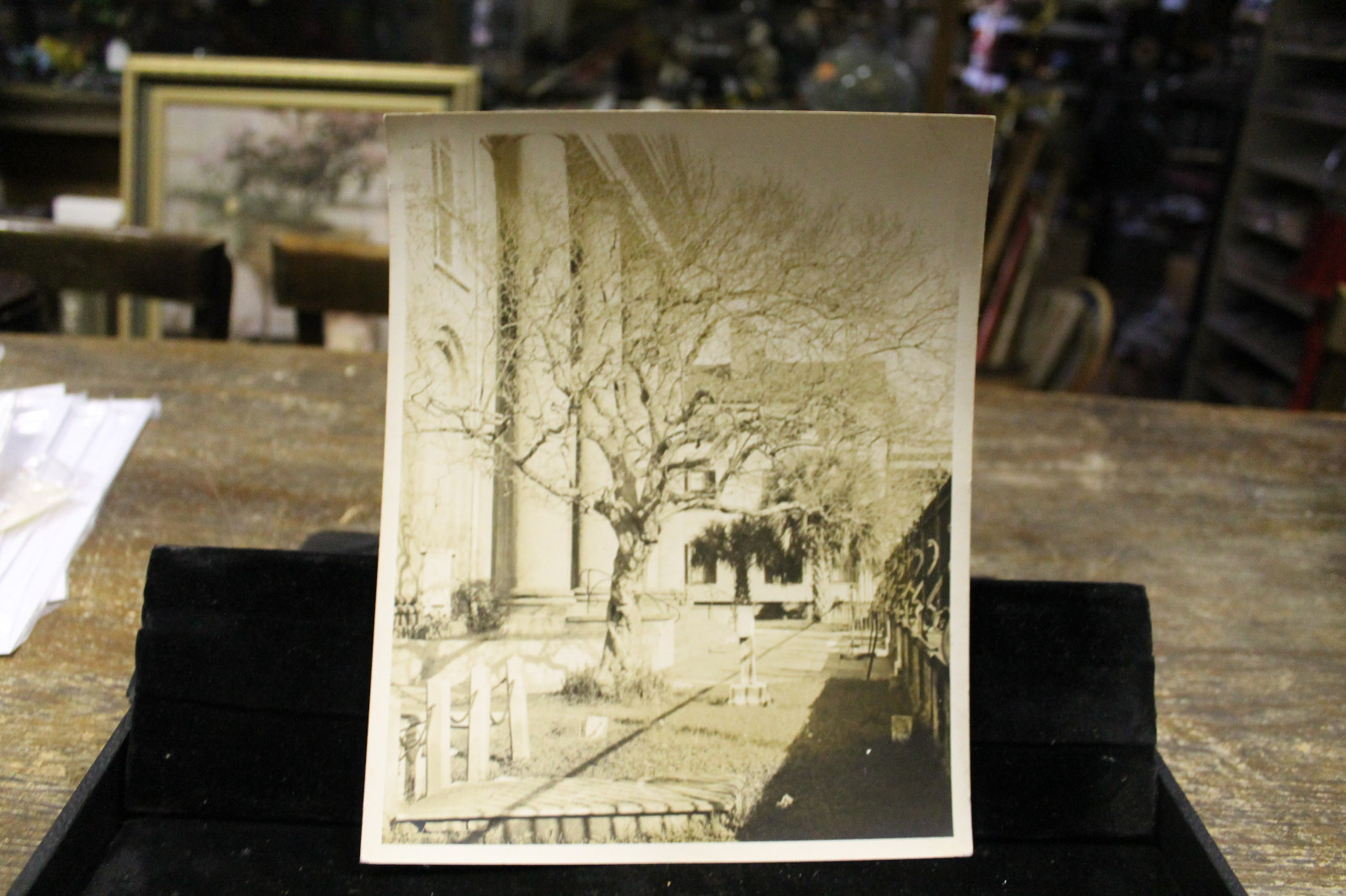 Circa 1950 Charleston SC Graveyard Church Photo 8×10 Original Funeral Cemetery