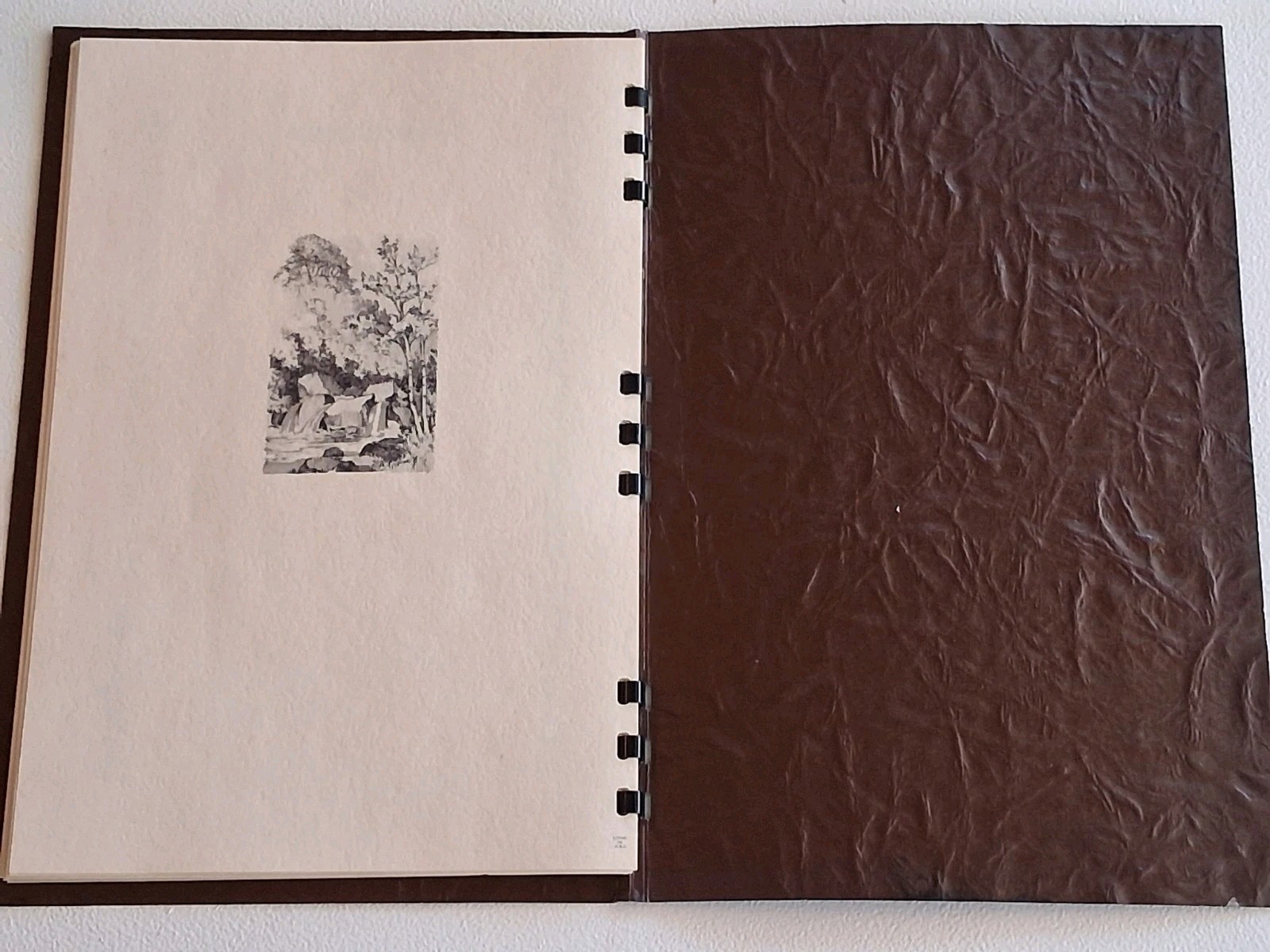 Vtg Memorial Remembrance Booklet Nurre Bros. Funeral Homes Cincinnati, OH