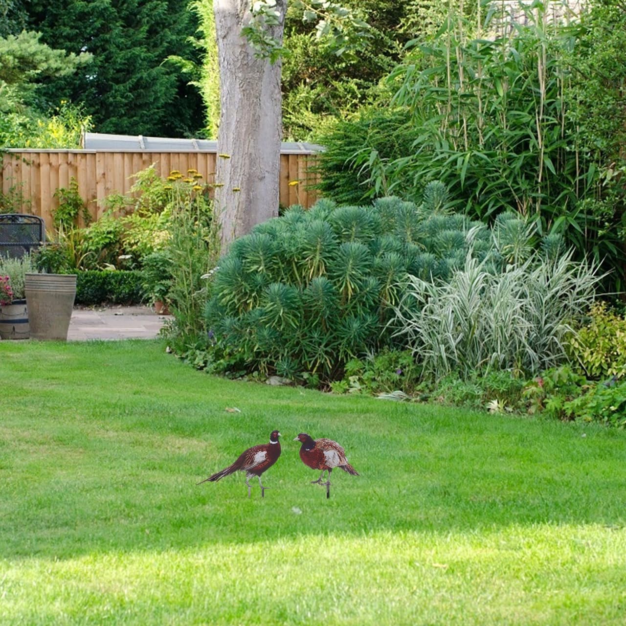 2pcs Lifelike Pheasant Garden Stakes Realistic Chicken Decor for Outdoor Lawn…