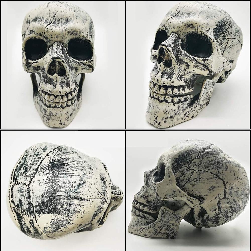 Realistic Halloween Skeleton Stakes Decorations, 3Pcs Groundbreakers Skull He…