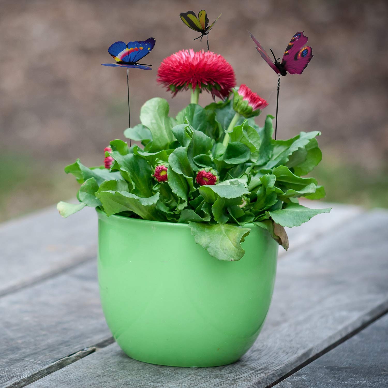 Outdoor Butterfly Garden Stakes – 100pcs Colorful Metal Wire Plant Decor