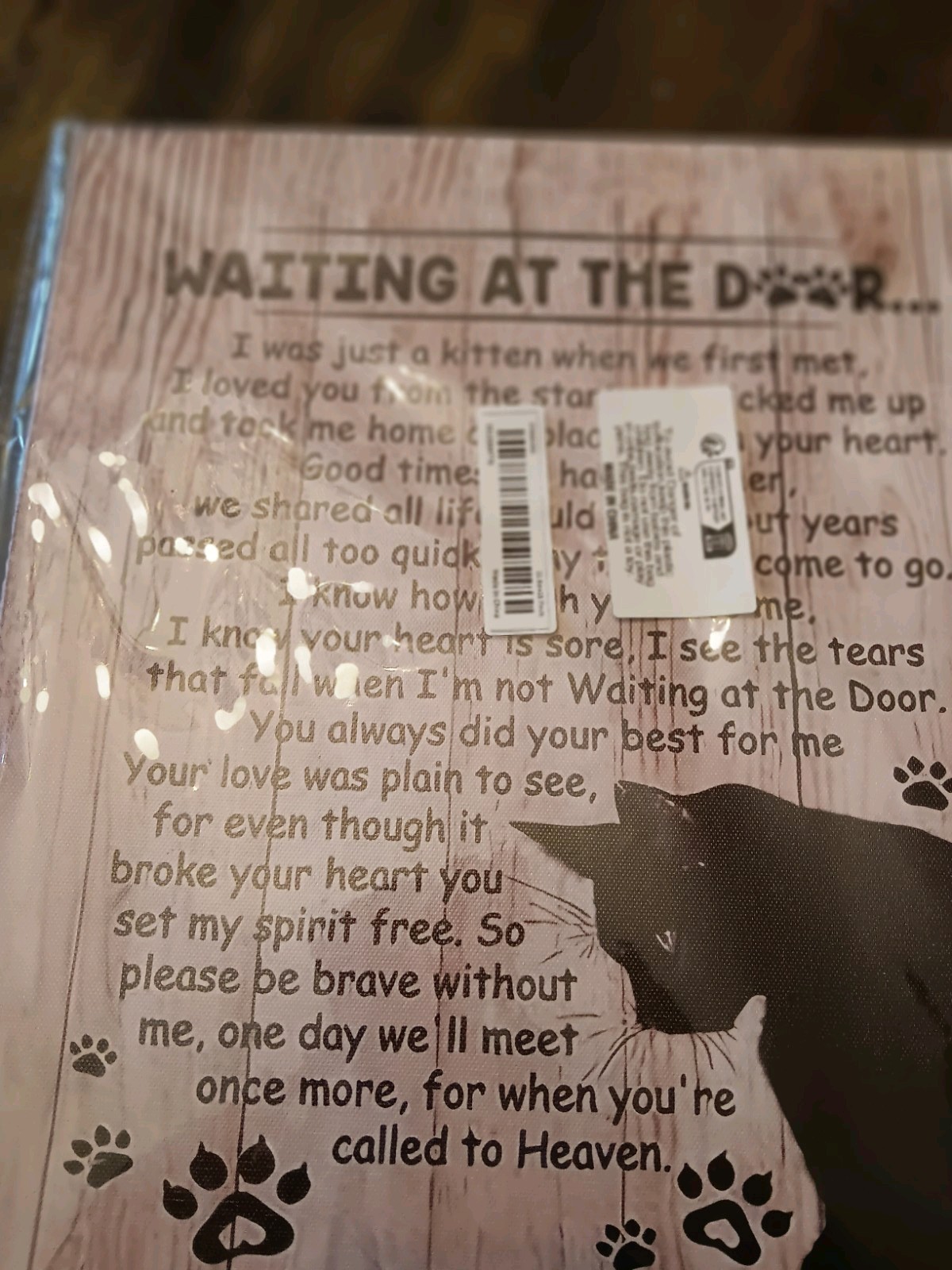 Tribute For A Beloved Cat