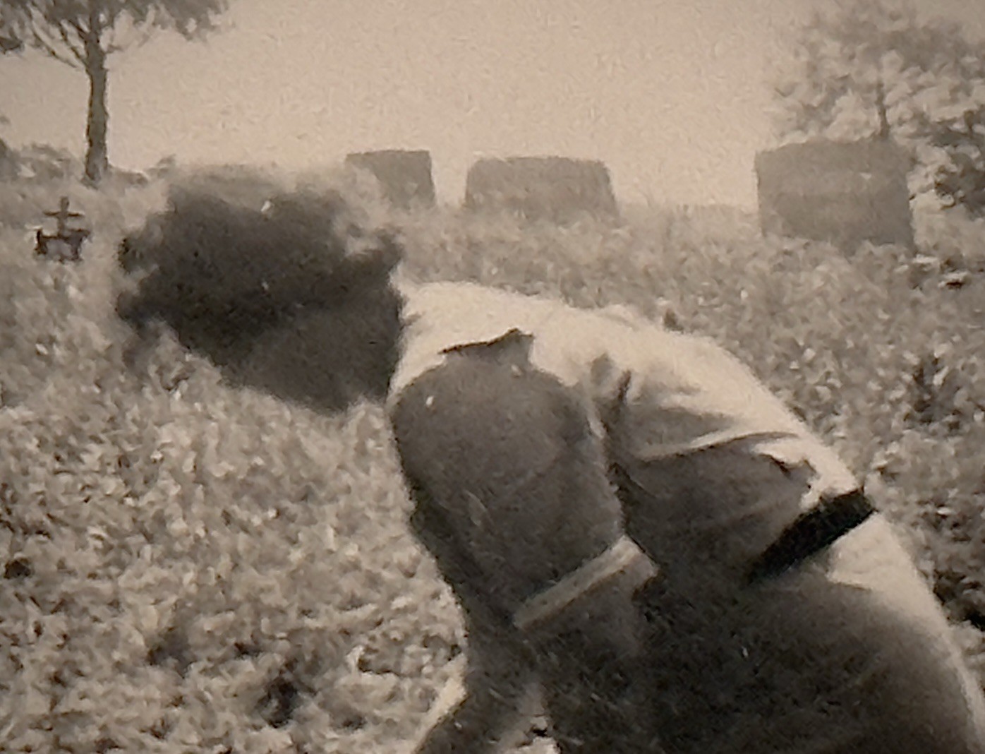 Mourning photography – Funeral Rites – Burials – Funeral – Mortuary – Cemetery