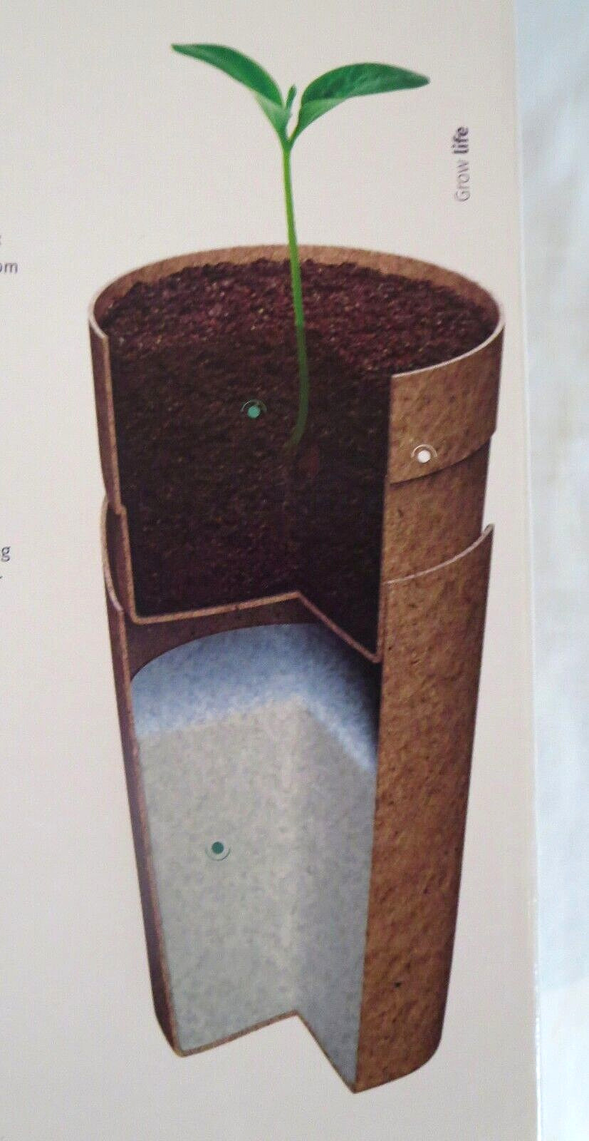 KIRI Biodegradable Tree Urn, Eco Burial Urn w/Crepe(Crape) Myrtle Tree Seeds NOB