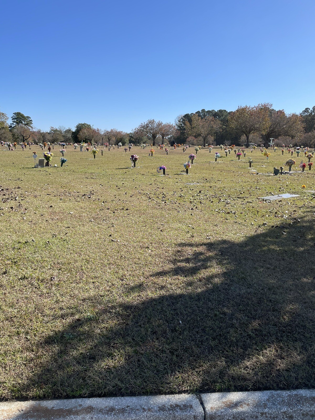 Two burial plots located in Carolina Memorial Gardens, Rivers Ave. Charleston SC