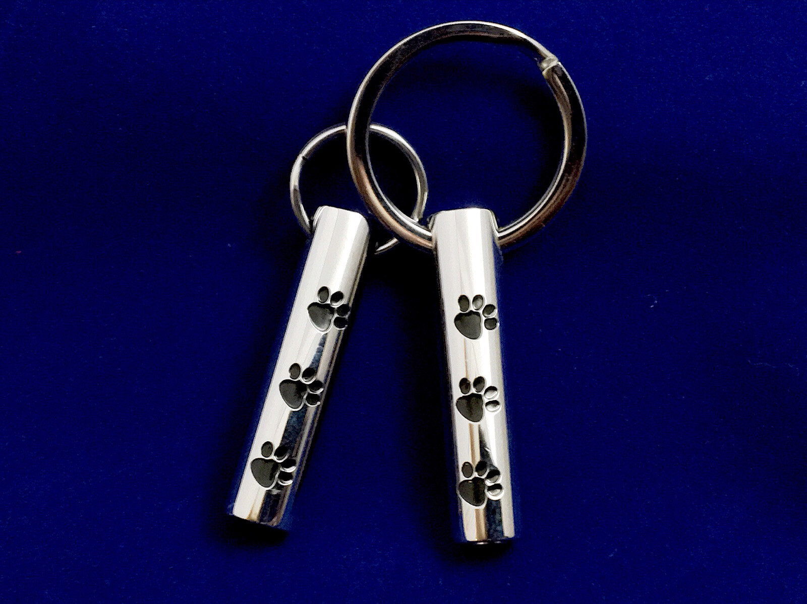 Keyring Urn .5″ Key Chain Pet Cremation Pendant Holds Ashes Dog Cat Paw Prints