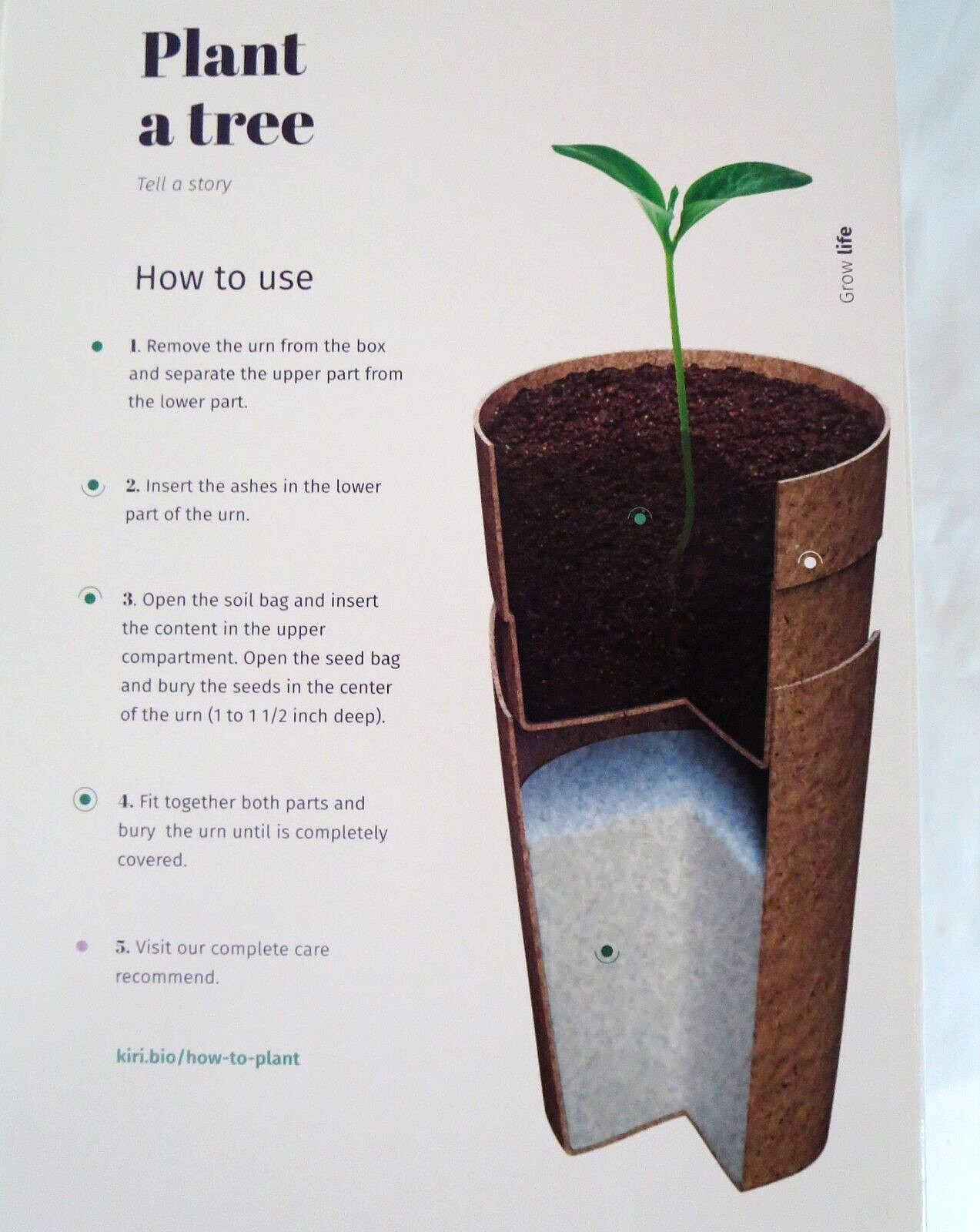 KIRI Biodegradable Tree Urn, Eco Burial Urn w/Crepe(Crape) Myrtle Tree Seeds NOB