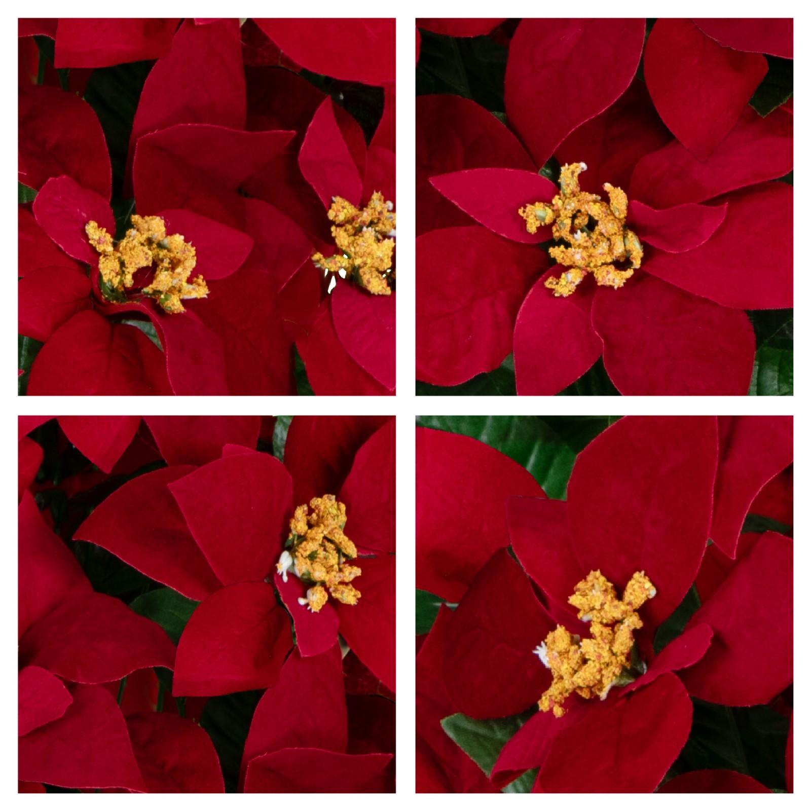 Artificial Cemetery Flowers – Red Poinsettia Bouquet With Vase