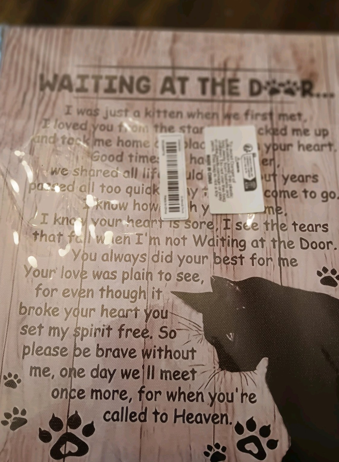 Tribute For A Beloved Cat