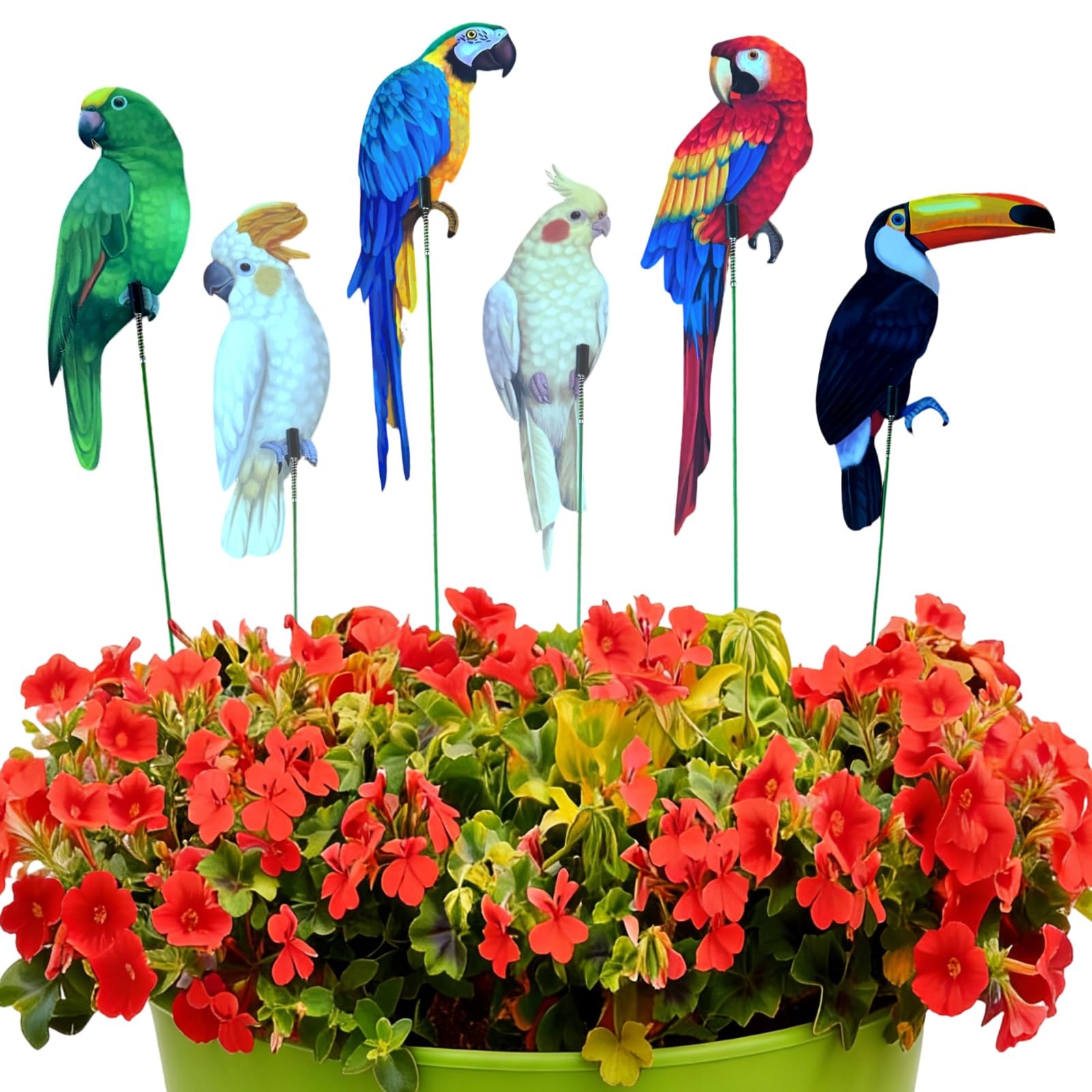 18PCS 2D Flat Parrot Garden Stakes Outdoor Yard Decor