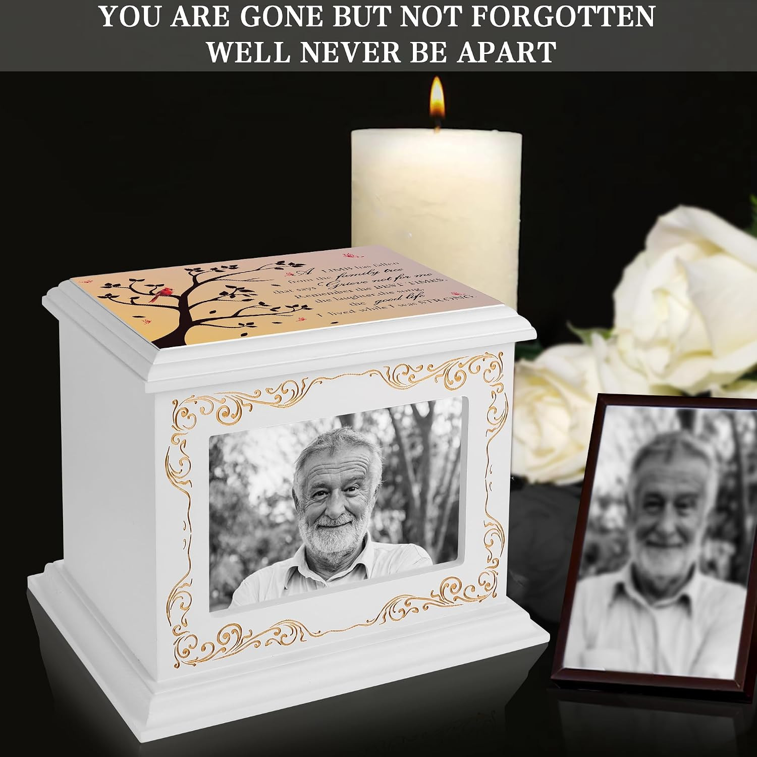 Cremation Urns for Human Ashes Adult Male or Female, Funeral Memorial Urns for A