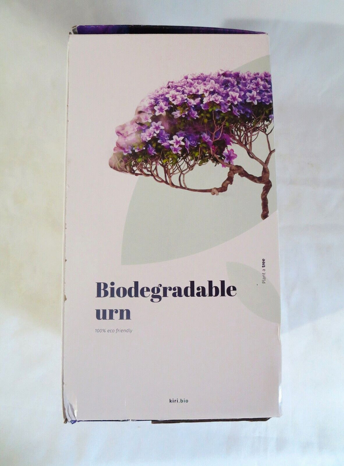KIRI Biodegradable Tree Urn, Eco Burial Urn w/Crepe(Crape) Myrtle Tree Seeds NOB