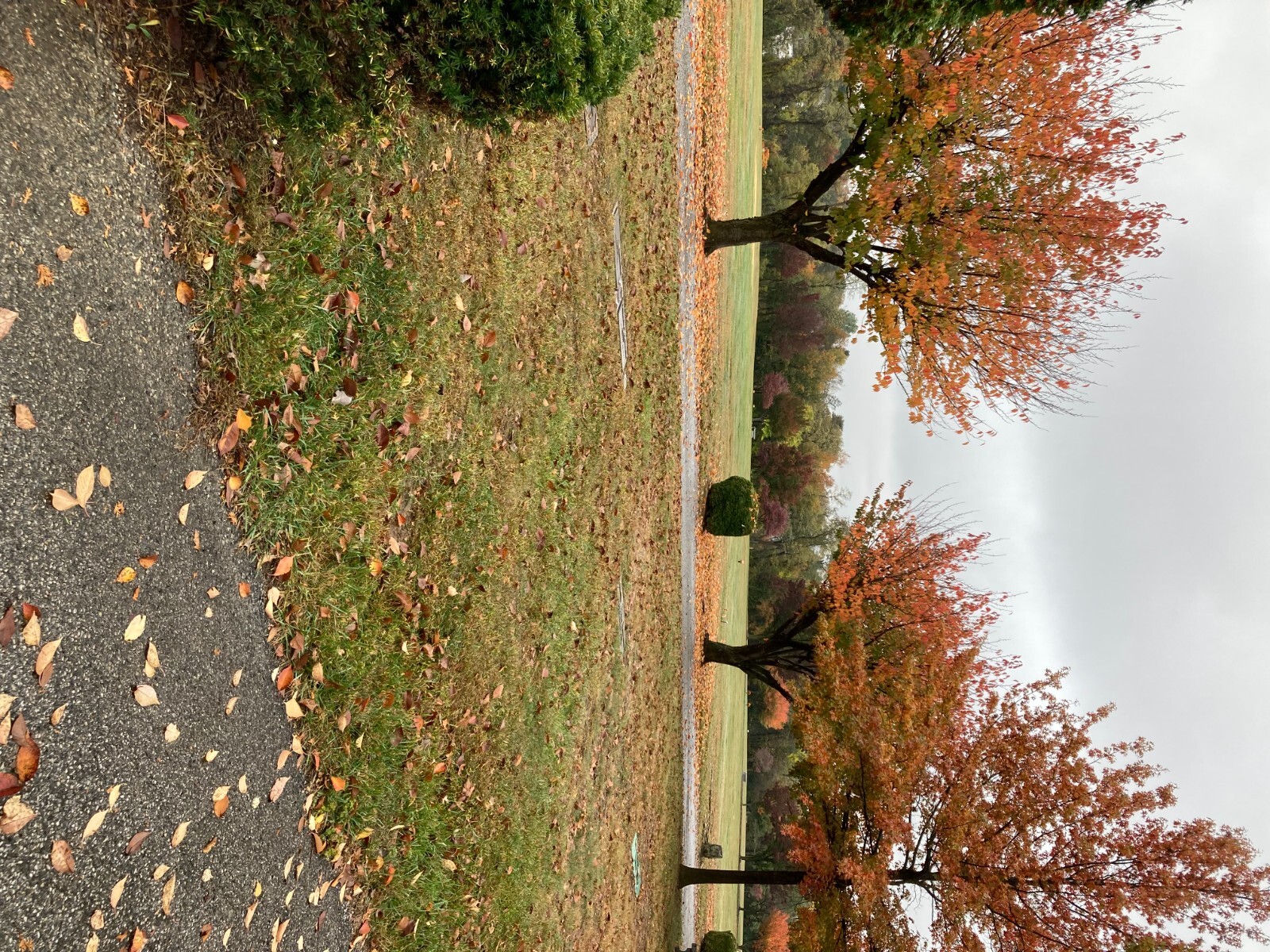 5 Cemetery Lots  Mount Rose Cemetery Graceland Section  York Pa  $2000 each    