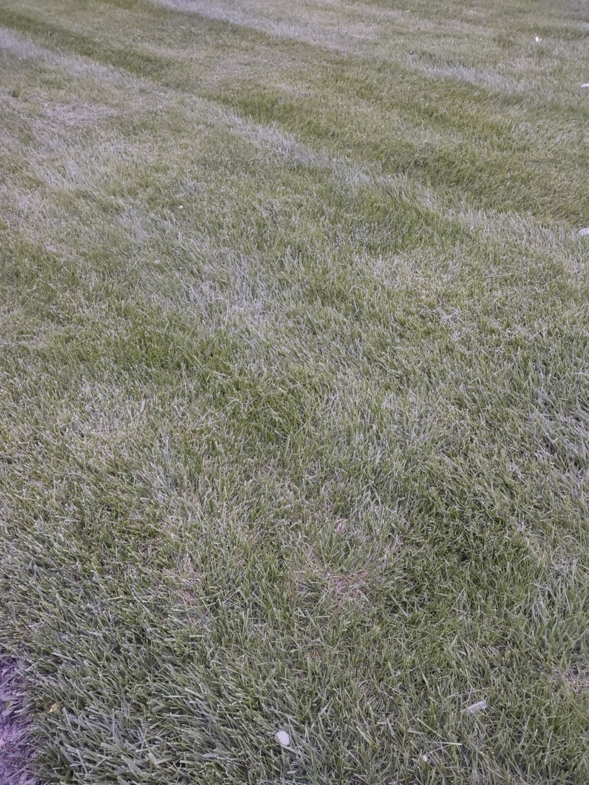 Green lawn cemetery plot for sale, Columbus Ohio