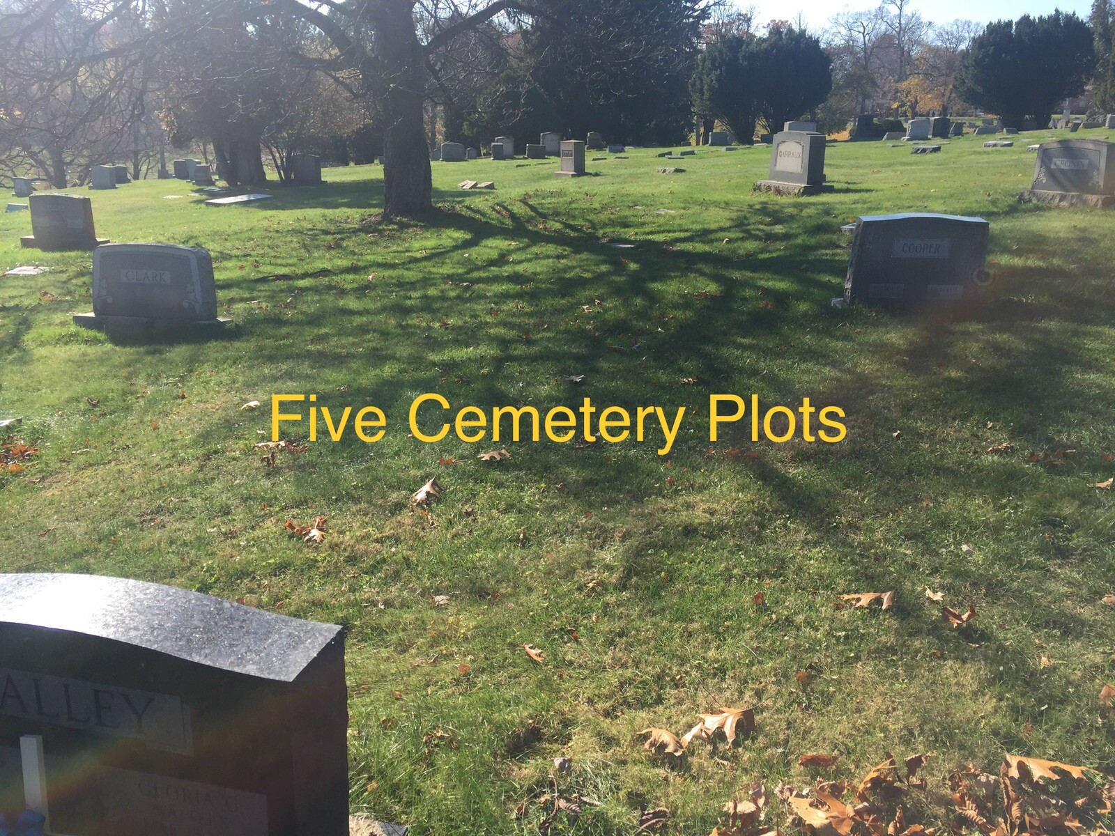 5 CEMETERY PLOTS IN MOUNT ROYAL MEMORIAL PARK CRESCENT PART 3 (Glenshaw, PA)