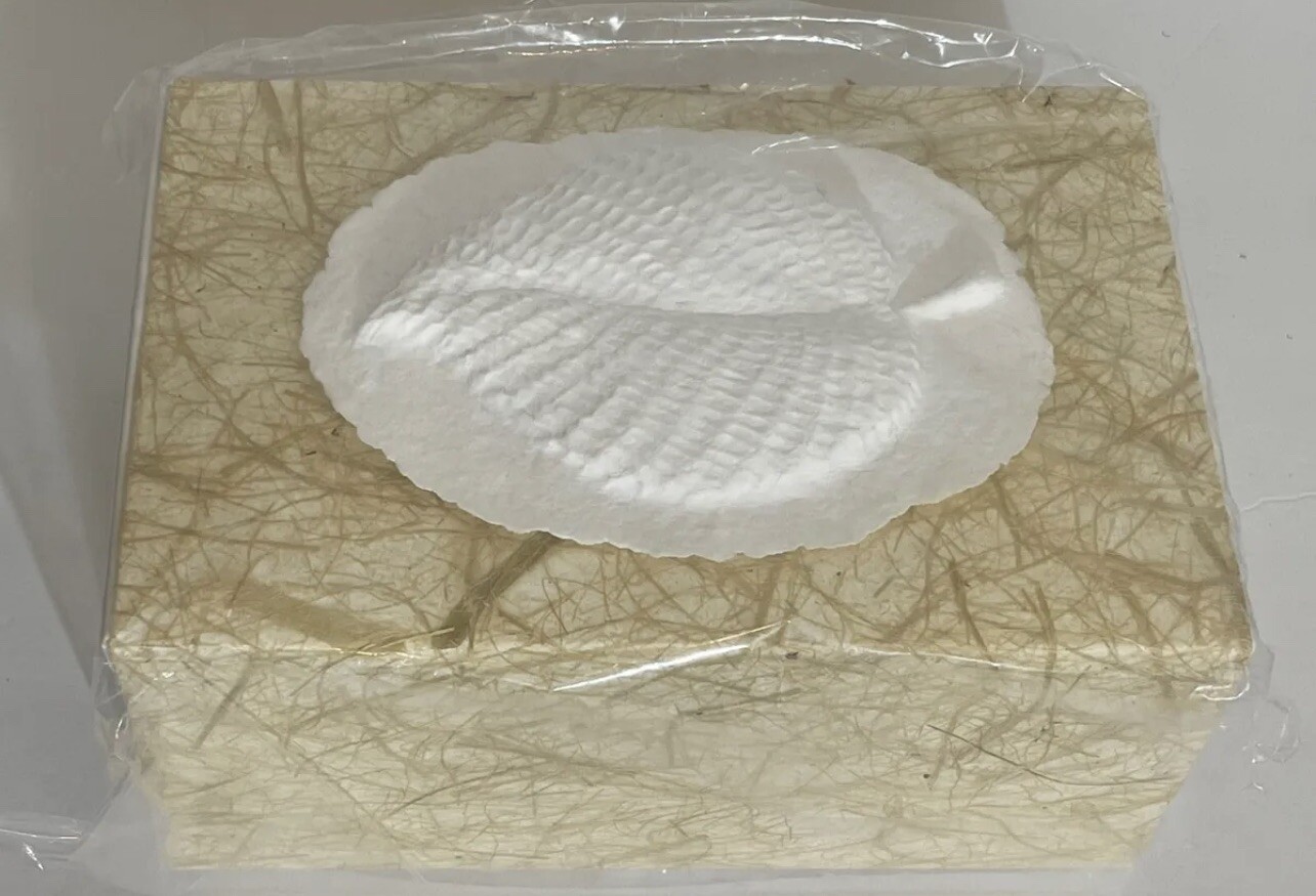 Natural Grass Biodegradable Burial Urn Large Leaf Box For Ashes EARTH MEMORIALS