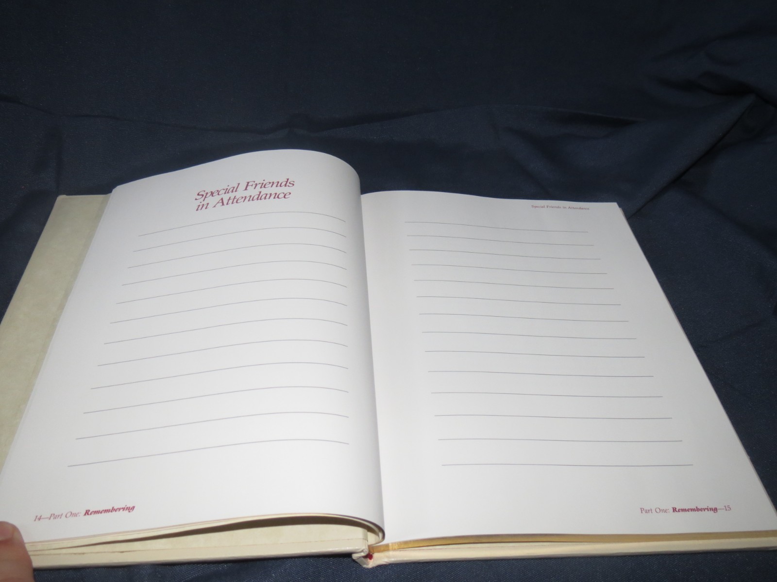 New Cream Beyond This Day The Way Of Hope Death Memorial Bereavement Death Book