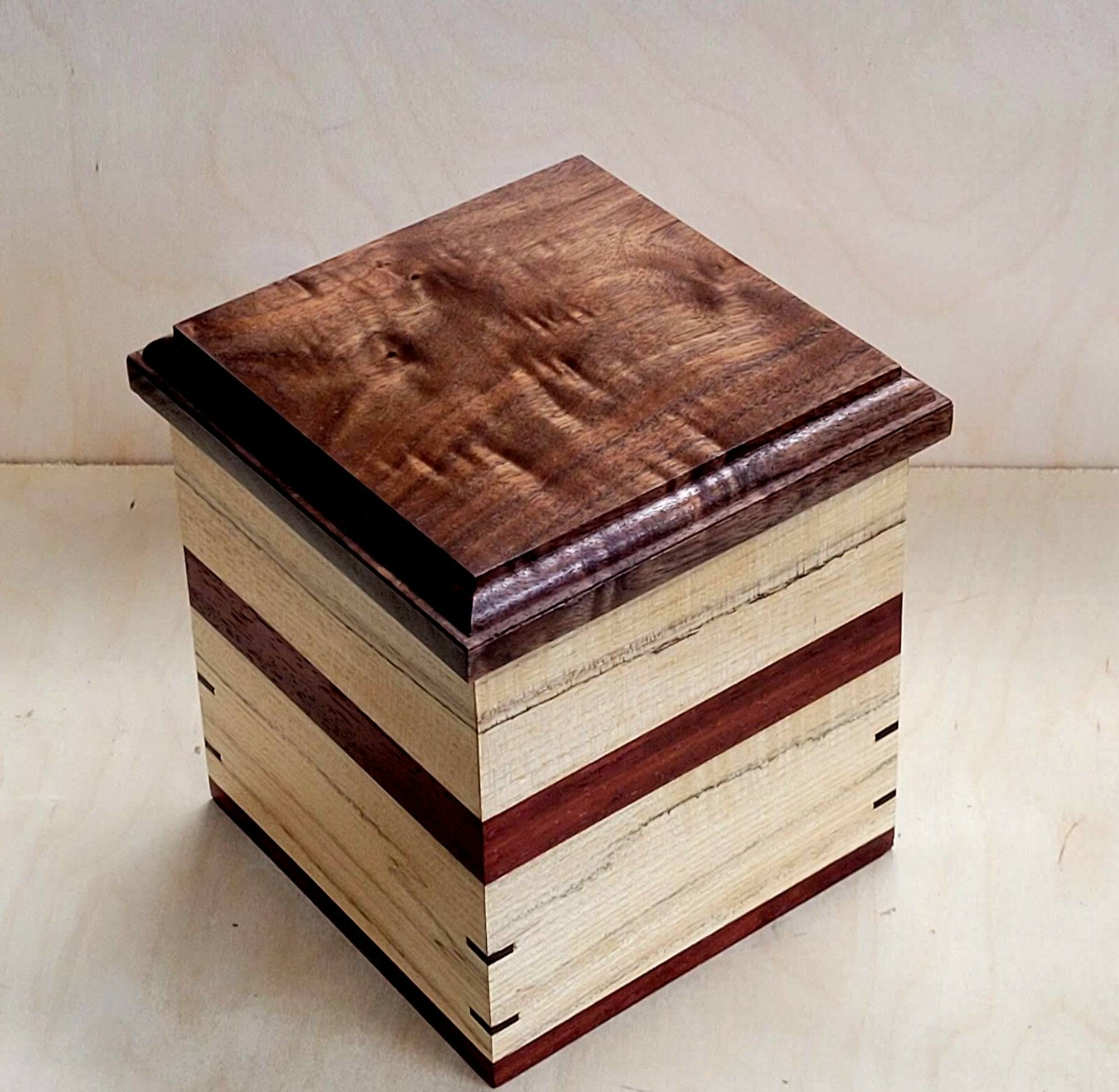 Handcrafted Spalted Hackberry, Curly Black Walnut, & Padauk Pet Human Urn 205