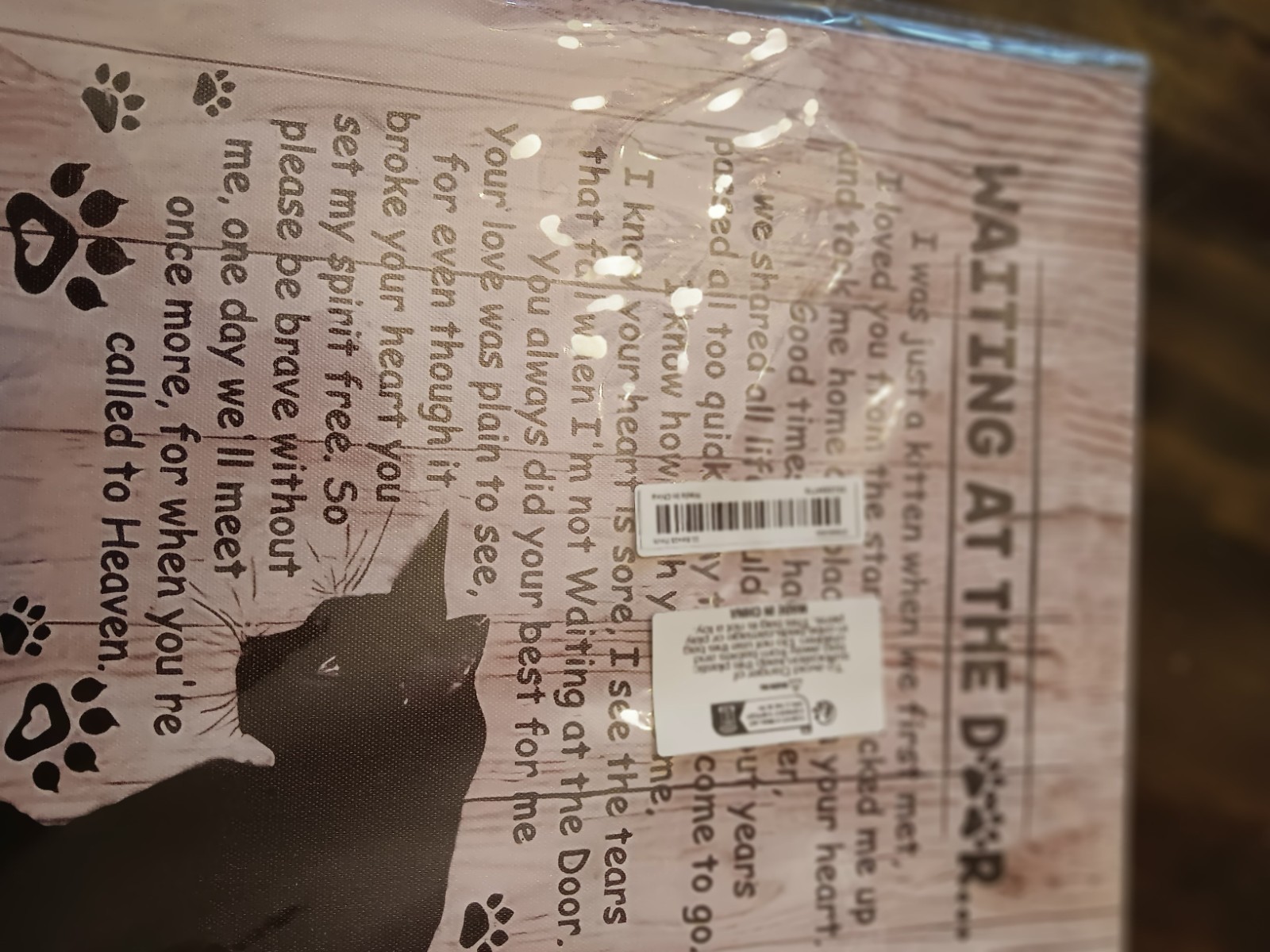 Tribute For A Beloved Cat