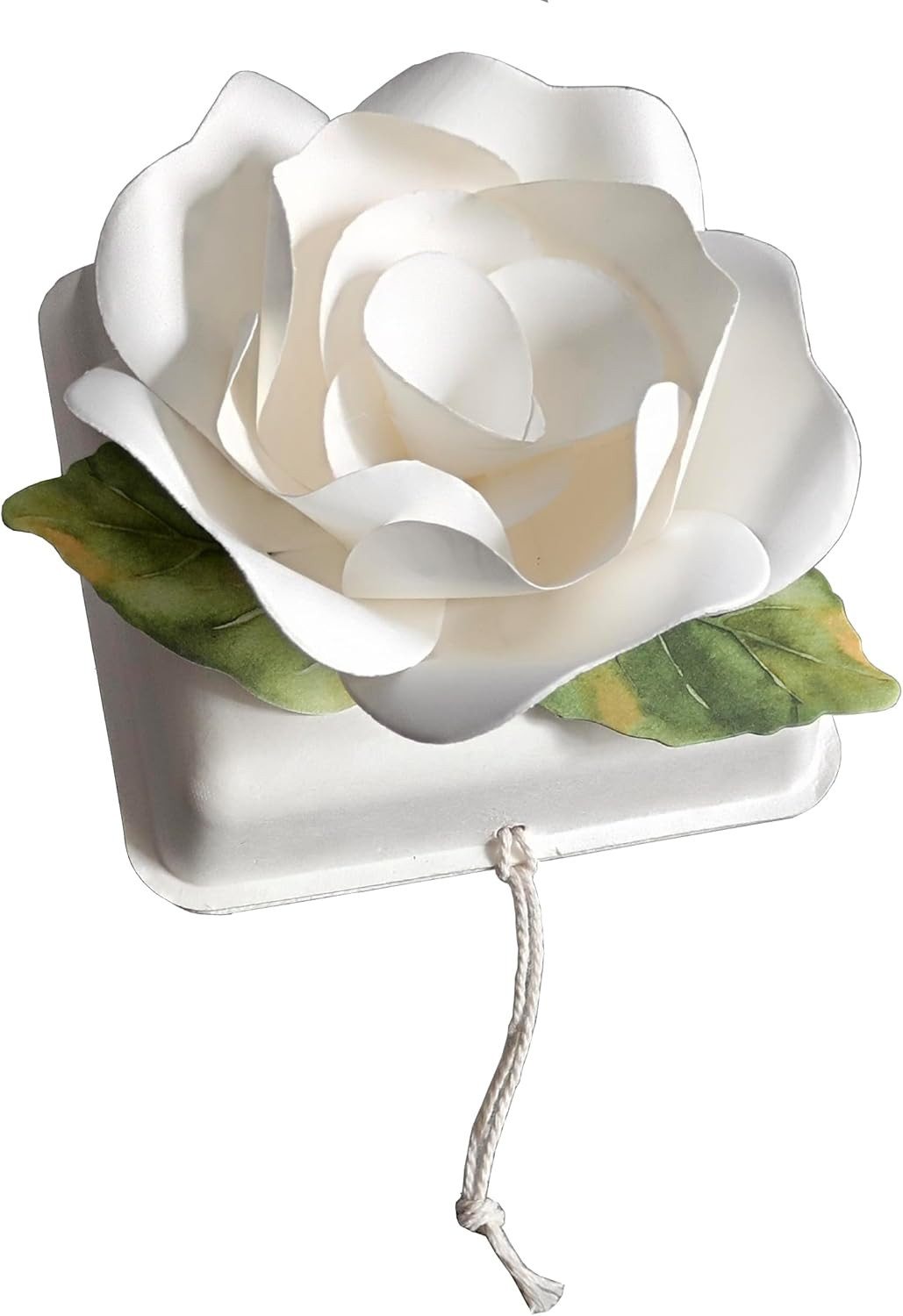 Biodegradable Urn Eco Cremation Urns Ocean Water Burial Scattering Floating Urn
