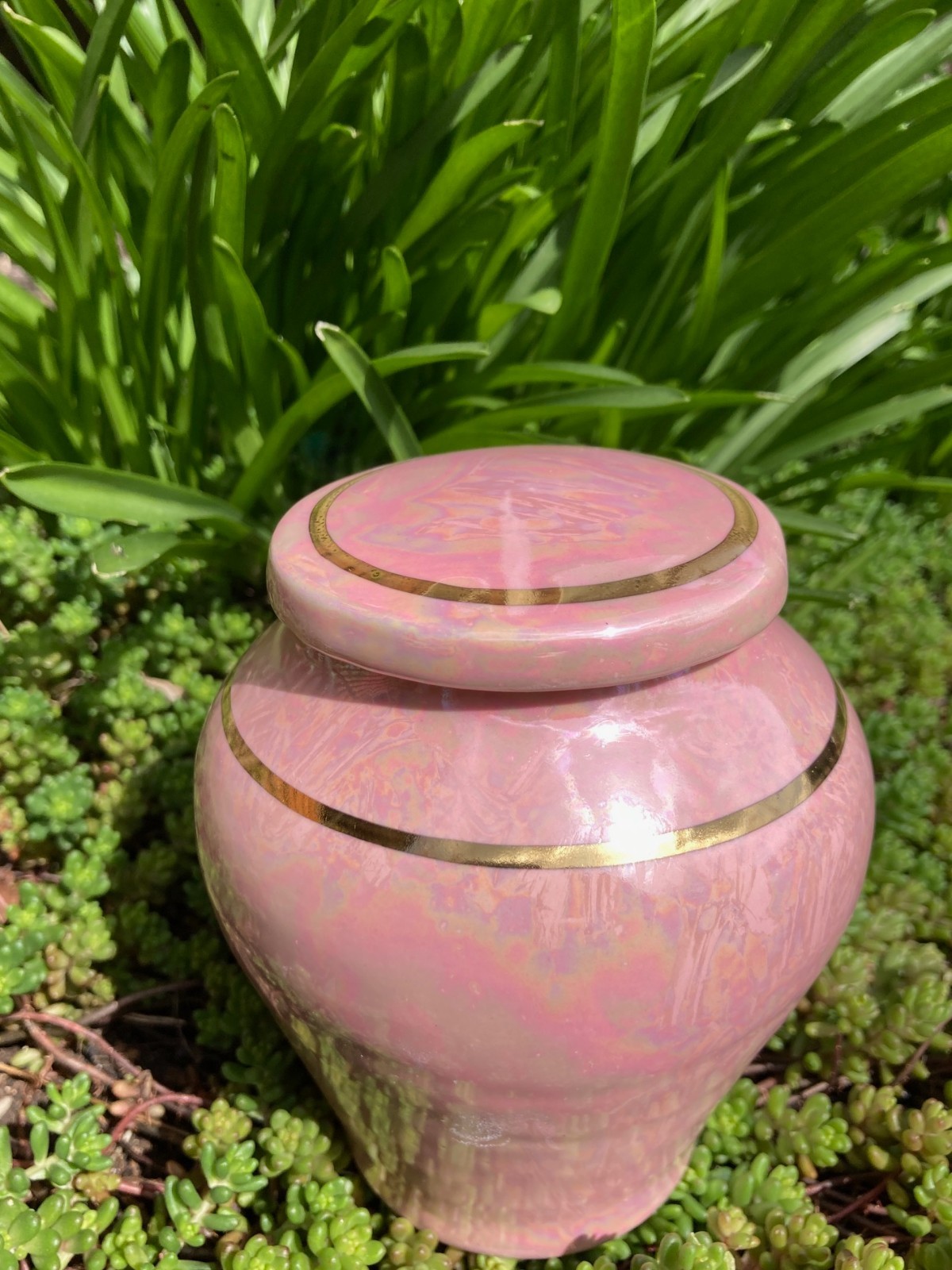 Handmade Ceramic Cremation Urn in Mother of Pearl small size for pet ashes 50 ci