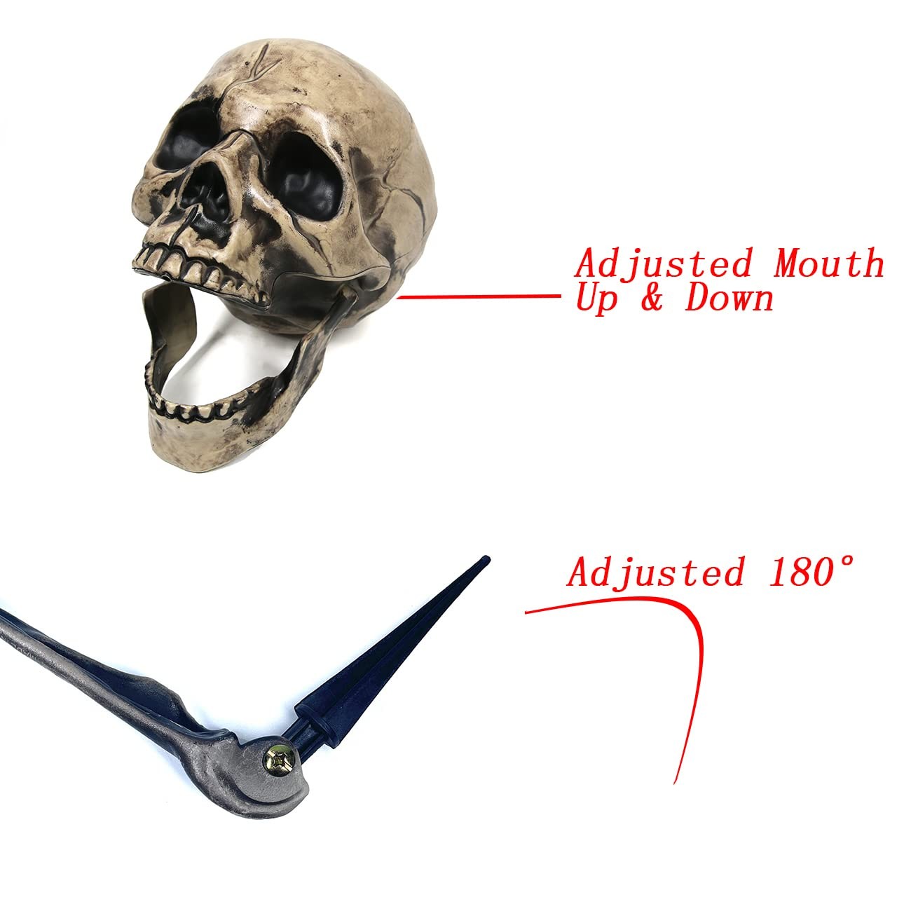 Sunnyglade Realistic Skeleton Stakes Halloween Decoration Scary Ground Breake…