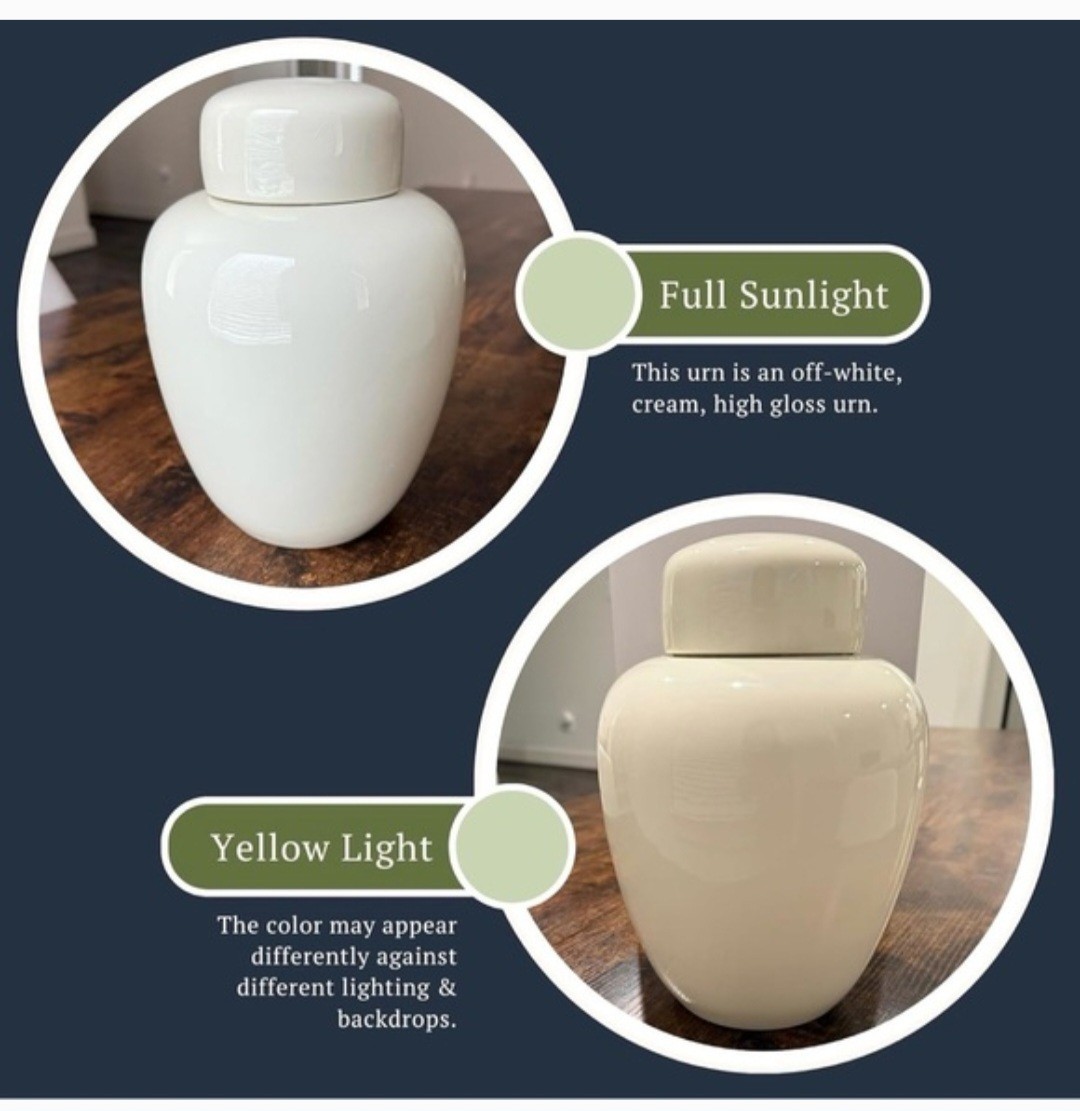 Modern Serenity White Ceramic Cremation Urn Adult Funeral Memorial 10″ NIB New