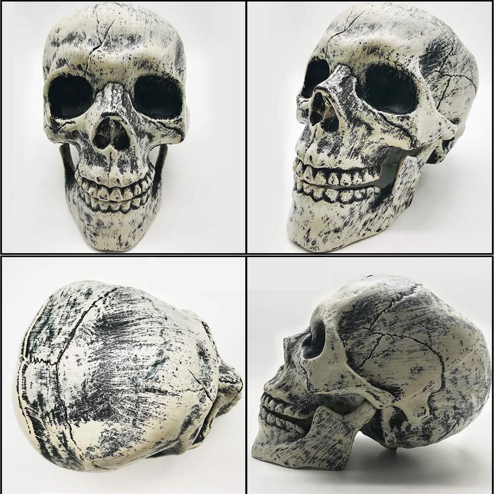 Vinyl Etchings Realistic Halloween Skeleton Stakes Decorations 3Pcs Groundbre…