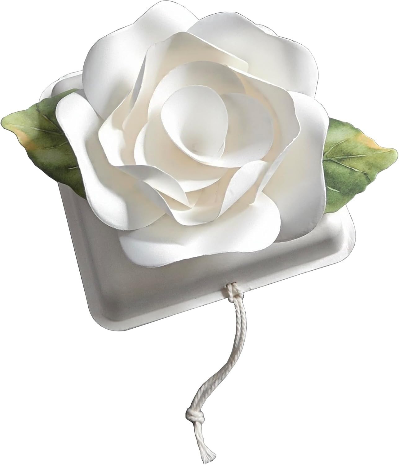 Biodegradable Urn Eco Burial Urns Biodegradable Water Urns Cremation Ocean Scatt