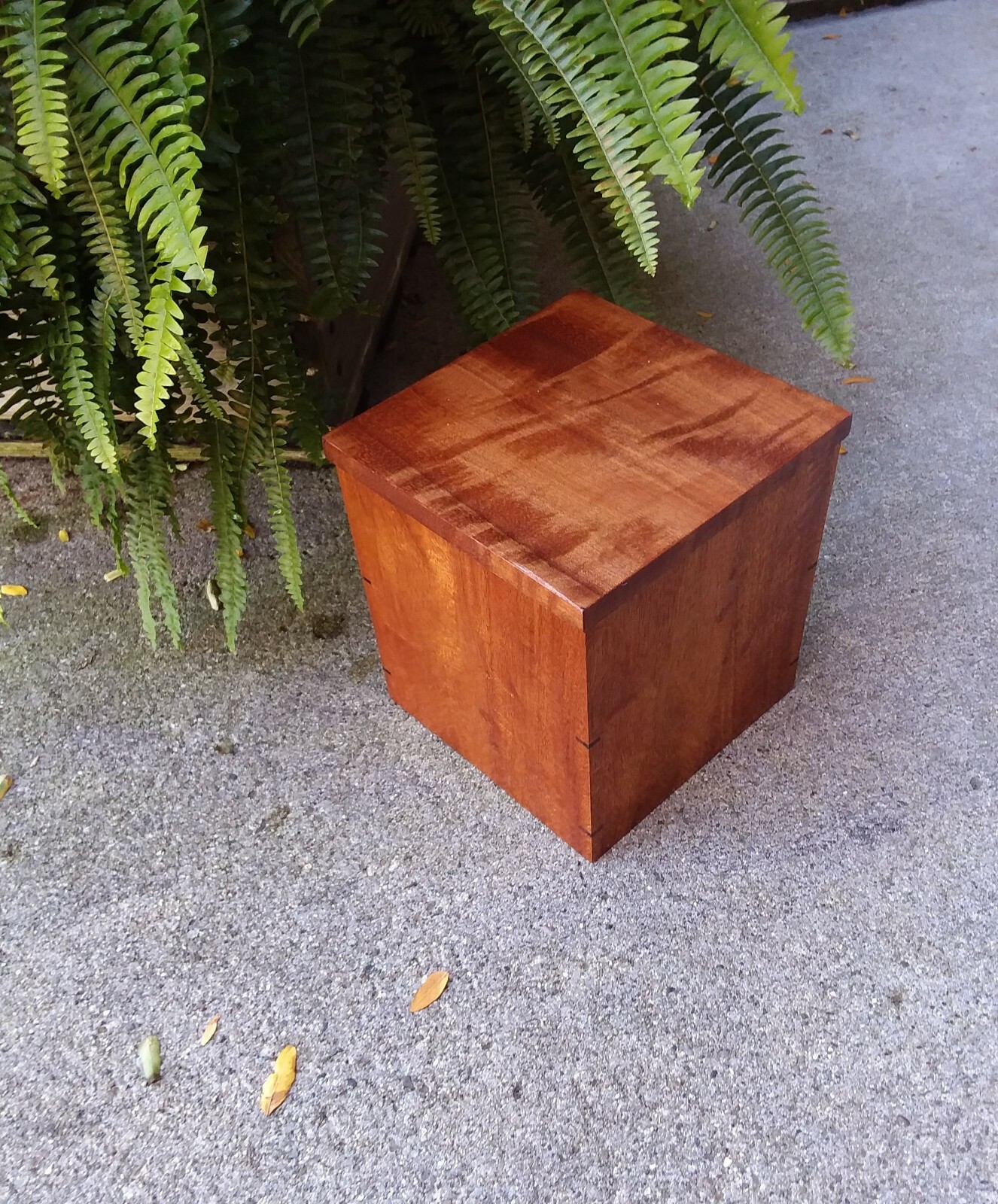Large Handcrafted Curly Mahogany & Royal Mahogany Human Urn Artist Signed 230