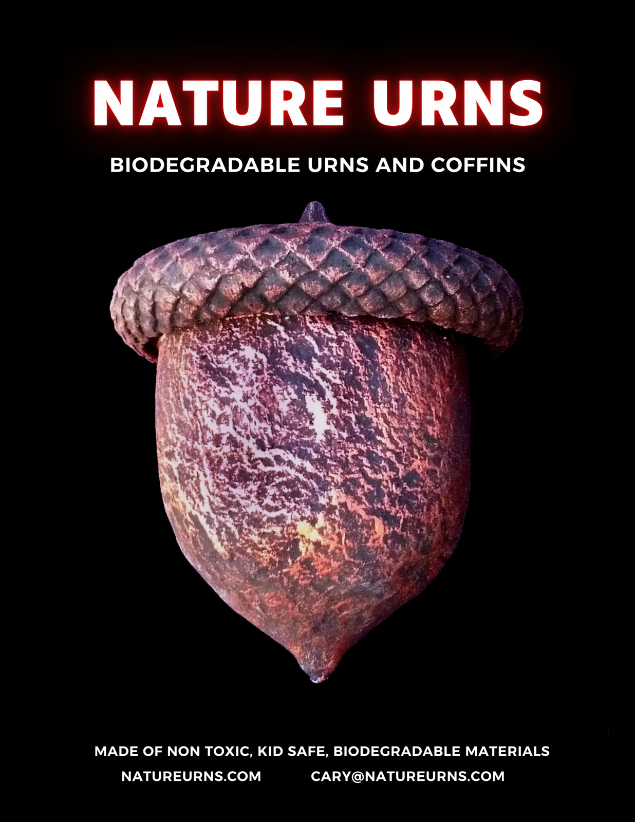 Biodegradable Acorns 8″ 100-Pack, Intended for resellers