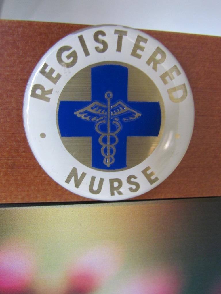 RN REGISTERED NURSE Urn for Ashes Modern Wooden HUMMINGBIRD Adult Cube